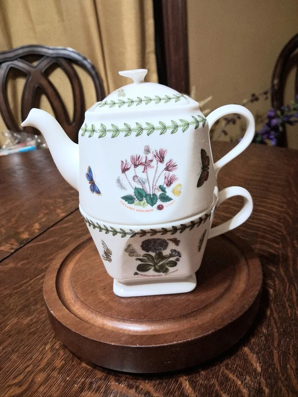 Susan Williams-Ellis Portmeiron Botanic Teapot For One